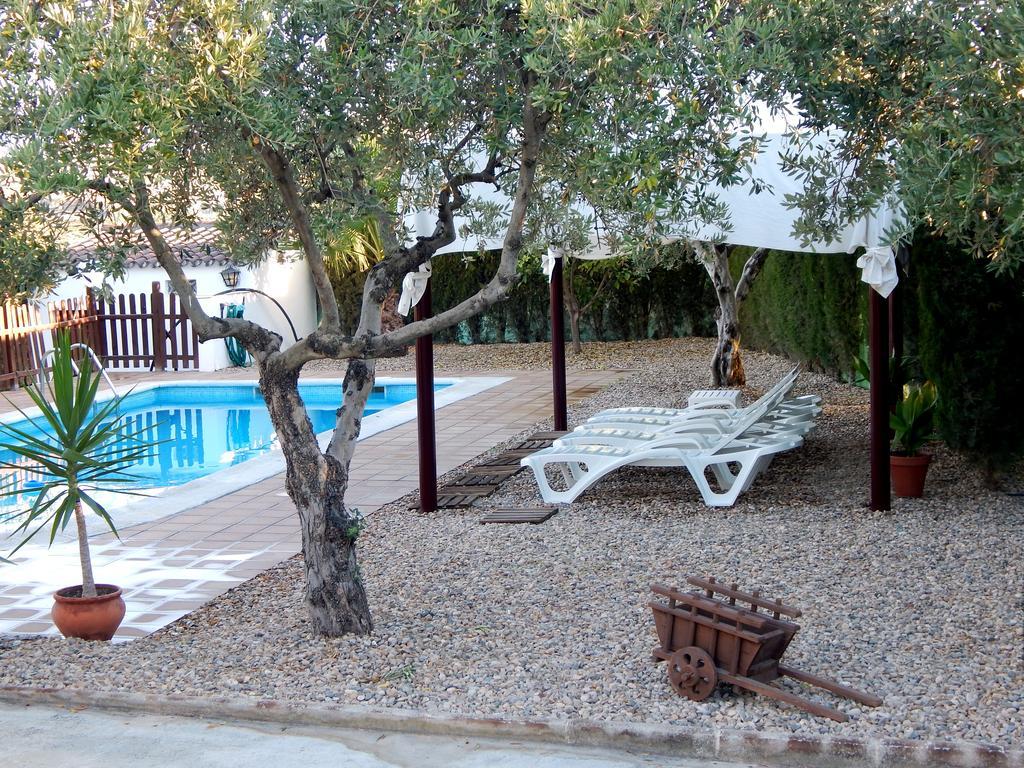 Villa Maria - Pista De Padel Y Piscina Баэна Экстерьер фото